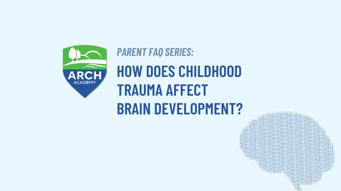Trauma and Brain Development